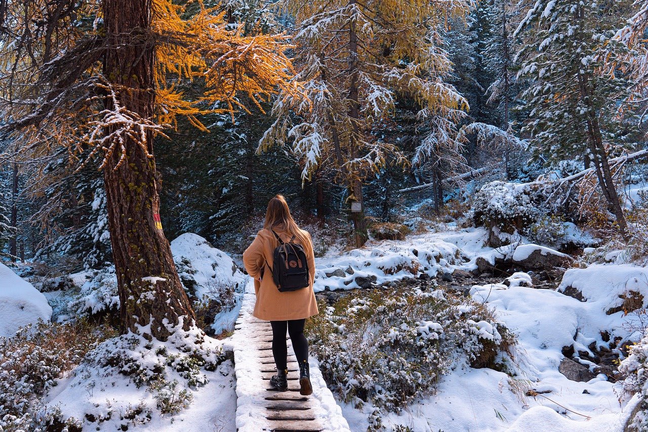 Winter Wilderness: A Guide to Hiking in January - More than a backpack